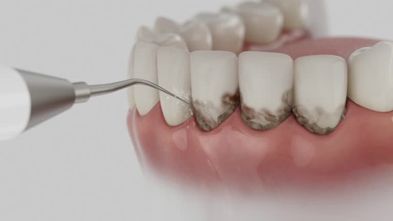 Reliable Dental contractor in Fort Washakie, WY by Dentist Open Now